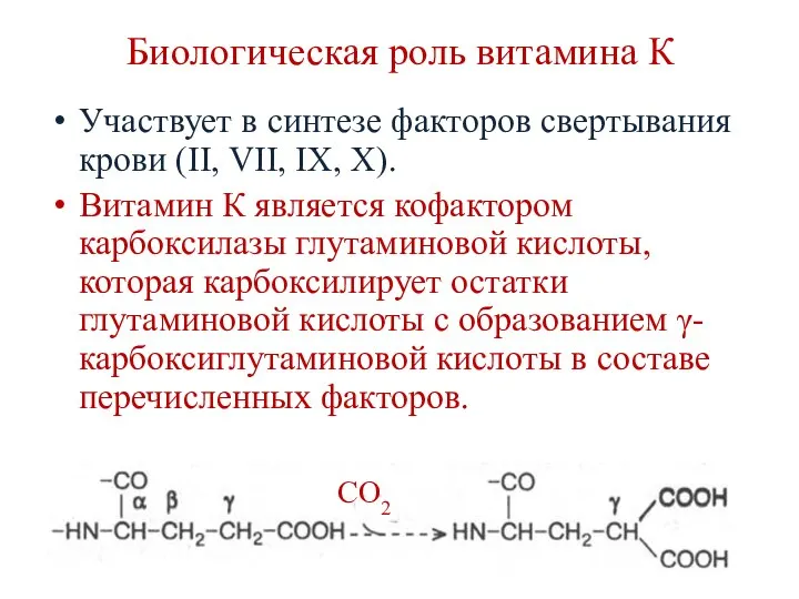 Биологическая роль витамина К Участвует в синтезе факторов свертывания крови (II,