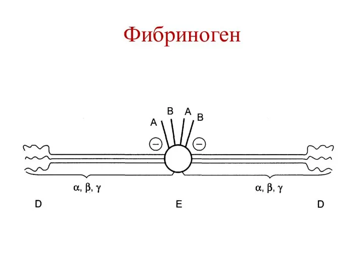 Фибриноген