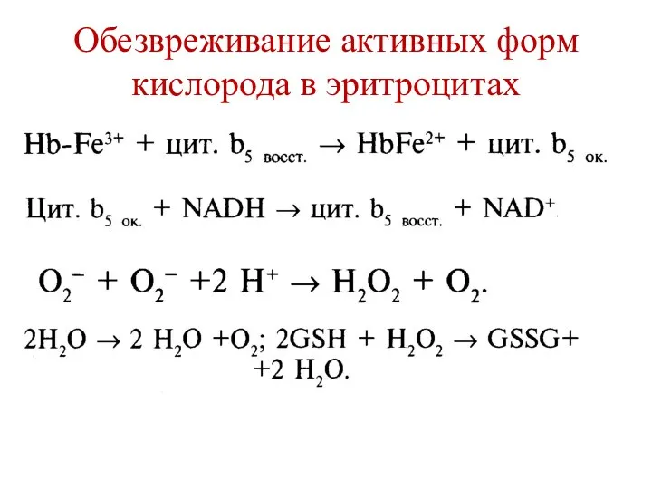 Обезвреживание активных форм кислорода в эритроцитах