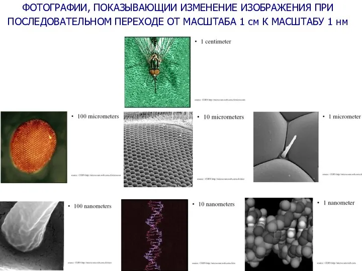 ФОТОГРАФИИ, ПОКАЗЫВАЮЩИИ ИЗМЕНЕНИЕ ИЗОБРАЖЕНИЯ ПРИ ПОСЛЕДОВАТЕЛЬНОМ ПЕРЕХОДЕ ОТ МАСШТАБА 1 см К МАСШТАБУ 1 нм