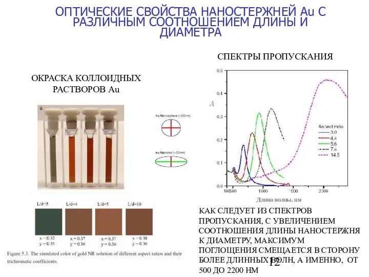 ОПТИЧЕСКИЕ СВОЙСТВА НАНОСТЕРЖНЕЙ Au С РАЗЛИЧНЫМ СООТНОШЕНИЕМ ДЛИНЫ И ДИАМЕТРА ОКРАСКА