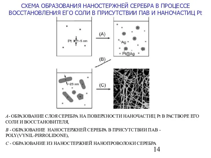 СХЕМА ОБРАЗОВАНИЯ НАНОСТЕРЖНЕЙ СЕРЕБРА В ПРОЦЕССЕ ВОССТАНОВЛЕНИЯ ЕГО СОЛИ В ПРИСУТСТВИИ