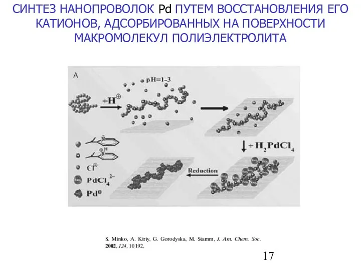 СИНТЕЗ НАНОПРОВОЛОК Pd ПУТЕМ ВОССТАНОВЛЕНИЯ ЕГО КАТИОНОВ, АДСОРБИРОВАННЫХ НА ПОВЕРХНОСТИ МАКРОМОЛЕКУЛ ПОЛИЭЛЕКТРОЛИТА