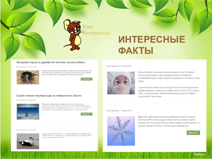 ИНТЕРЕСНЫЕ ФАКТЫ ИНТЕРЕСНЫЕ ФАКТЫ