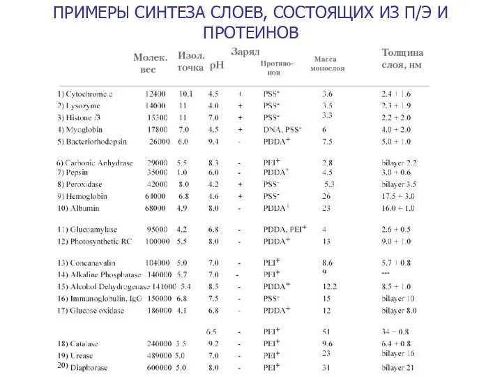 ПРИМЕРЫ СИНТЕЗА СЛОЕВ, СОСТОЯЩИХ ИЗ П/Э И ПРОТЕИНОВ