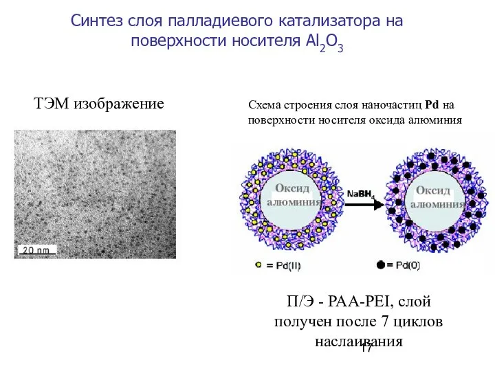 Синтез слоя палладиевого катализатора на поверхности носителя Al2O3 П/Э - PAA-PEI,