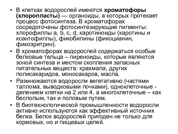 В клетках водорослей имеются хроматофоры (хлоропласты) — органоиды, в которых протекает