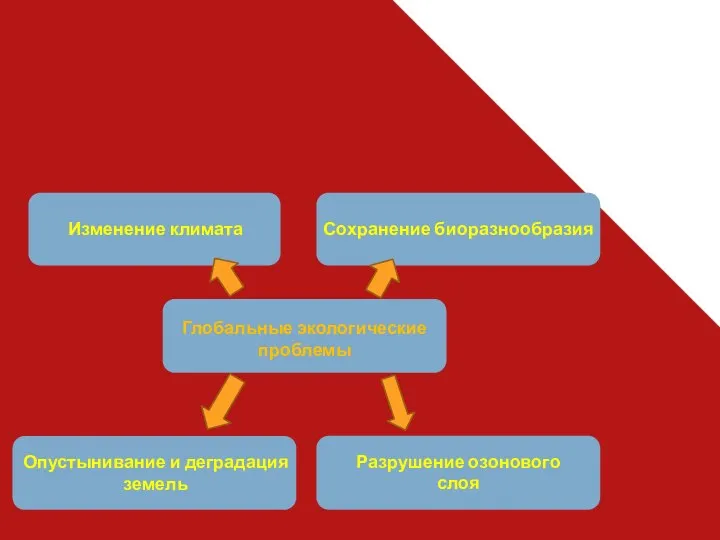 Разрушение озонового слоя Изменение климата Сохранение биоразнообразия Опустынивание и деградация земель Глобальные экологические проблемы