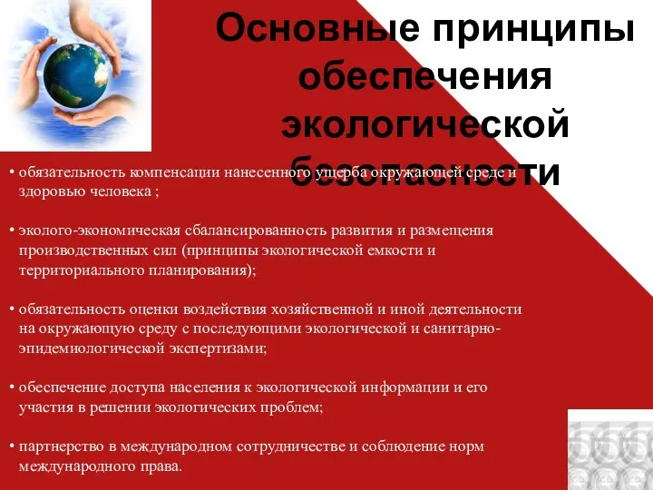 Основные принципы обеспечения экологической безопасности обязательность компенсации нанесенного ущерба окружающей среде