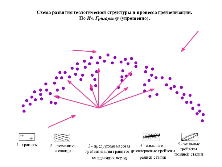 3 - предрудная масовая грейзенизация гранитов и вмещающих пород Схема развития