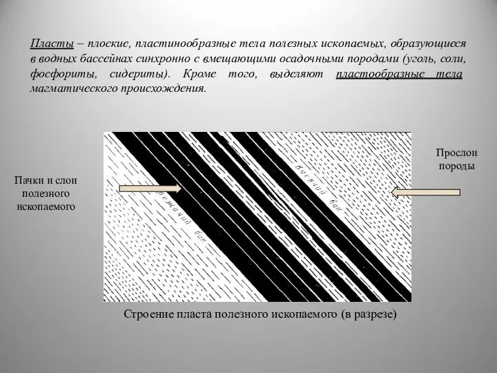 Пласты – плоские, пластинообразные тела полезных ископаемых, образующиеся в водных бассейнах