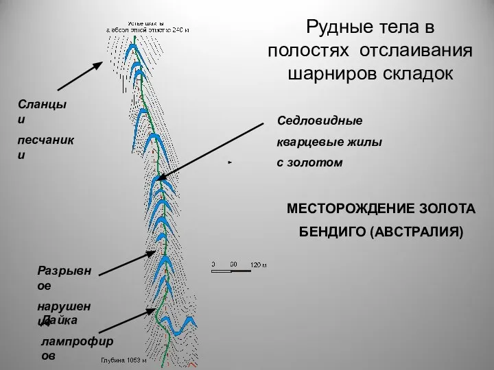 Рудные тела в полостях отслаивания шарниров складок Сланцы и песчаники Седловидные