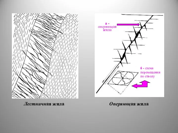 Лестничная жила Оперяющая жила а - оперяющая жила б - схема перемещения по стволу