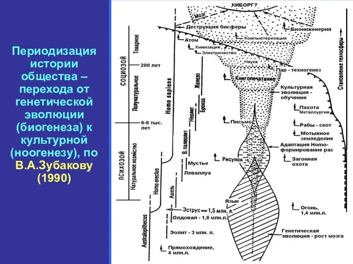 Периодизация истории общества – перехода от генетической эволюции (биогенеза) к культурной (ноогенезу), по В.А.Зубакову (1990)