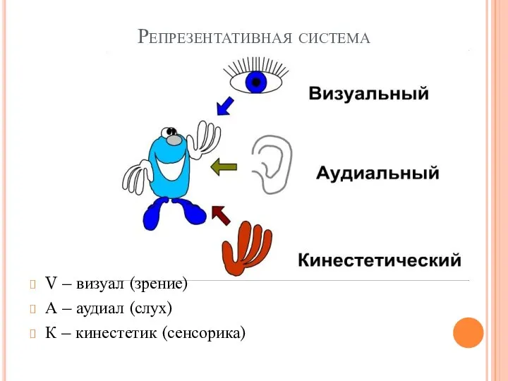 Репрезентативная система V – визуал (зрение) А – аудиал (слух) К – кинестетик (сенсорика)