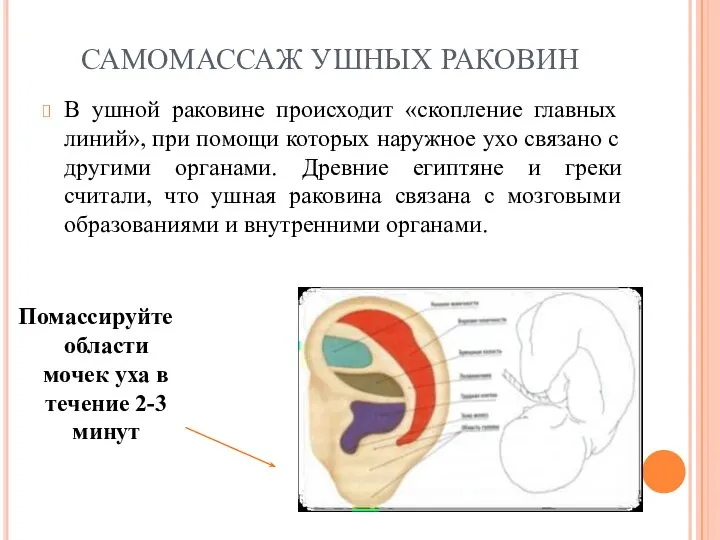 САМОМАССАЖ УШНЫХ РАКОВИН В ушной раковине происходит «скопление главных линий», при