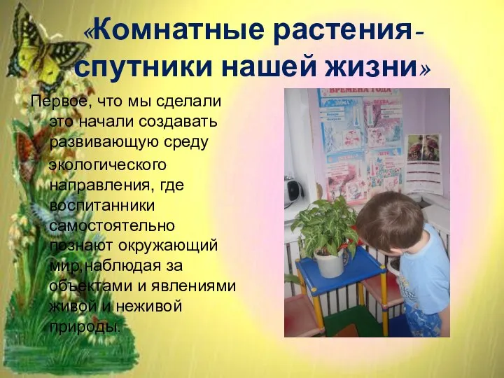 «Комнатные растения-спутники нашей жизни» Первое, что мы сделали это начали создавать