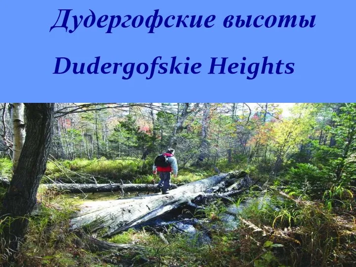 Дудергофские высоты Dudergofskie Heights