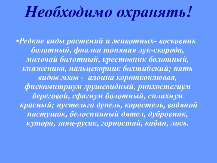 Редкие виды растений и животных- восковник болотный, фиалка топяная лук-скорода, молочай