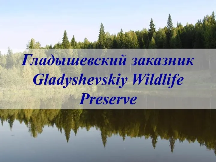 Гладышевский заказник Gladyshevskiy Wildlife Preserve