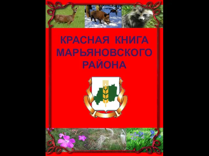 КРАСНАЯ КНИГА МАРЬЯНОВСКОГО РАЙОНА