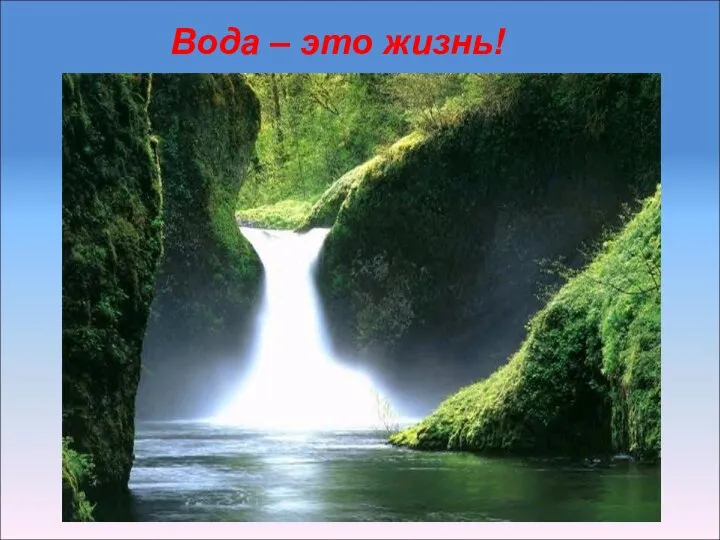 Вода – это жизнь!