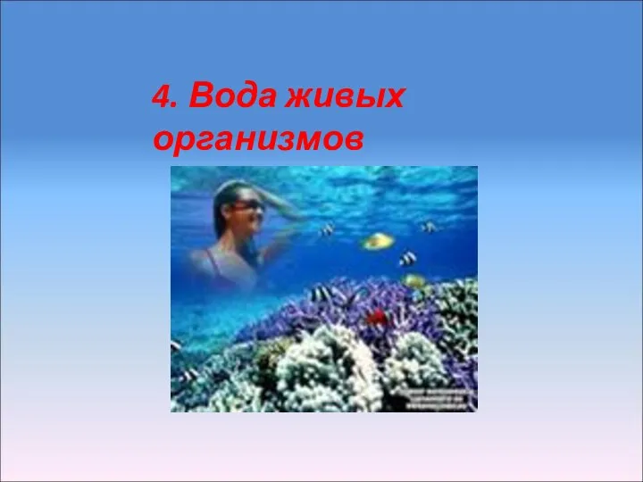 4. Вода живых организмов