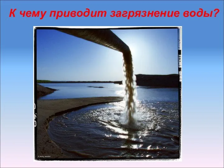 К чему приводит загрязнение воды?