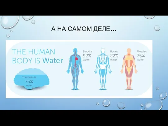 А НА САМОМ ДЕЛЕ… Water