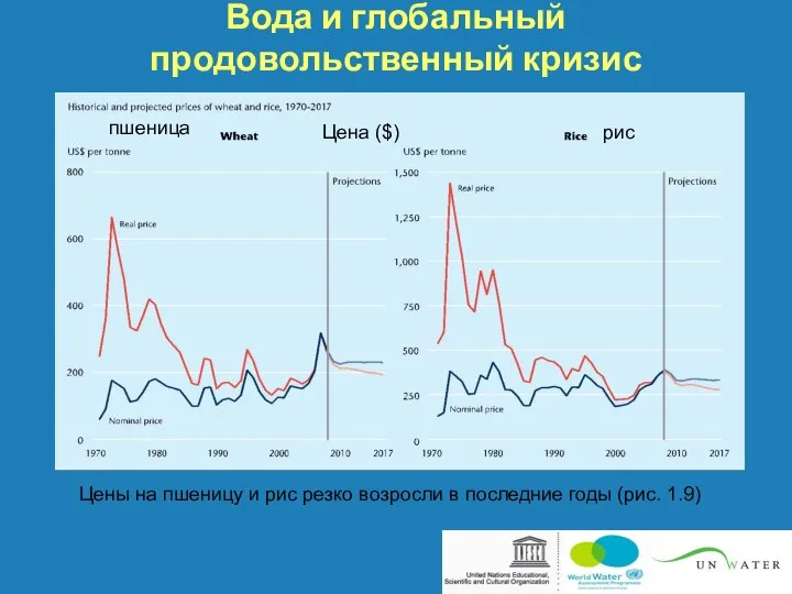 Вода и глобальный продовольственный кризис Цены на пшеницу и рис резко