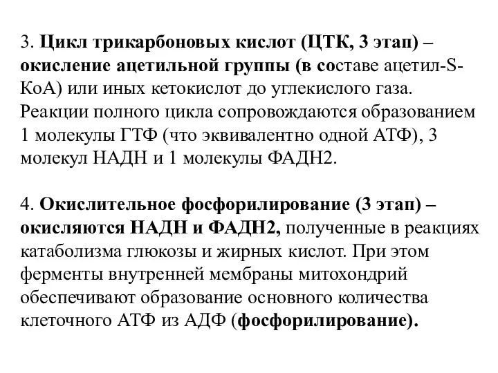 3. Цикл трикарбоновых кислот (ЦТК, 3 этап) – окисление ацетильной группы