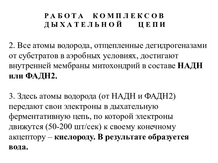 2. Все атомы водорода, отщепленные дегидрогеназами от субстратов в аэробных условиях,