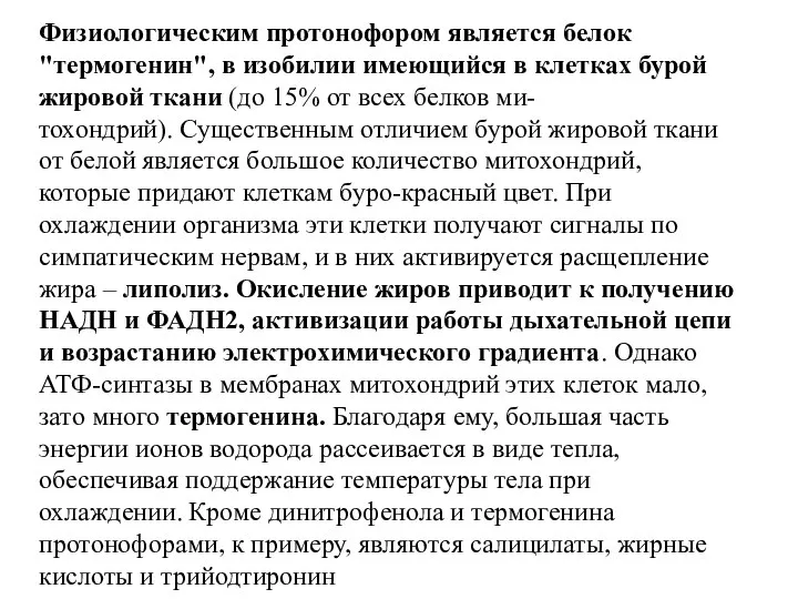 Физиологическим протонофором является белок "термогенин", в изобилии имеющийся в клетках бурой