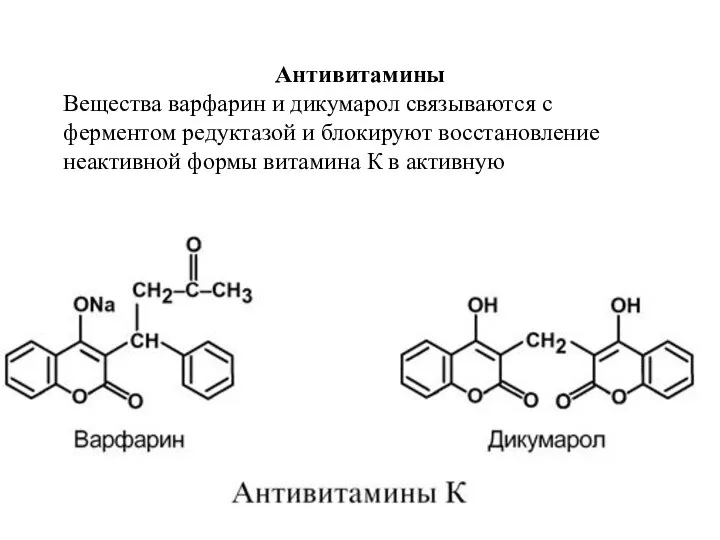 Антивитамины Вещества варфарин и дикумарол связываются с ферментом редуктазой и блокируют