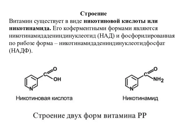 Строение Витамин существует в виде никотиновой кислоты или никотинамида. Его коферментными