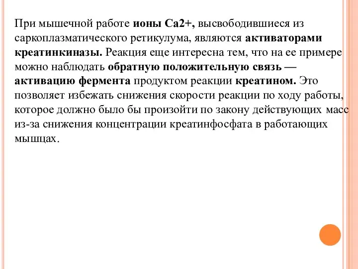 При мышечной работе ионы Са2+, высвободившиеся из саркоплазматического ретикулума, являются активаторами