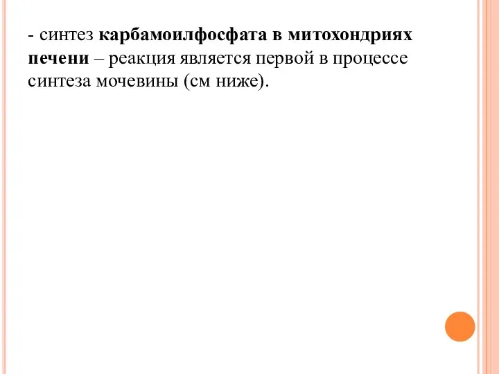 - синтез карбамоилфосфата в митохондриях печени – реакция является первой в процессе синтеза мочевины (см ниже).