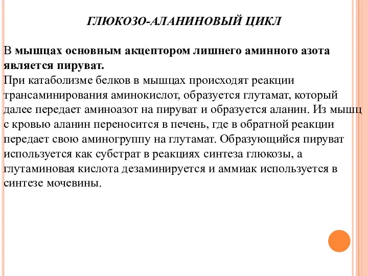 ГЛЮКОЗО-АЛАНИНОВЫЙ ЦИКЛ В мышцах основным акцептором лишнего аминного азота является пируват.