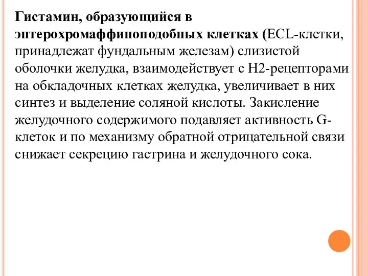 Гистамин, образующийся в энтерохромаффиноподобных клетках (ECL-клетки, принадлежат фундальным железам) слизистой оболочки