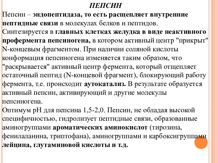 ПЕПСИН Пепсин – эндопептидаза, то есть расщепляет внутренние пептидные связи в