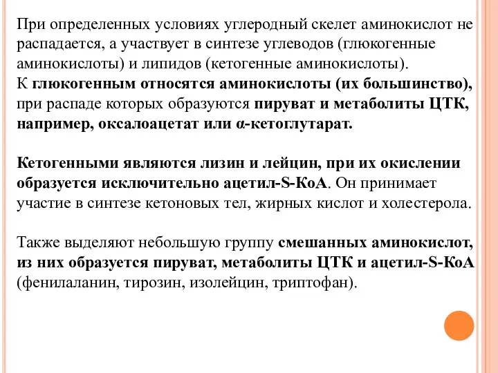 При определенных условиях углеродный скелет аминокислот не распадается, а участвует в