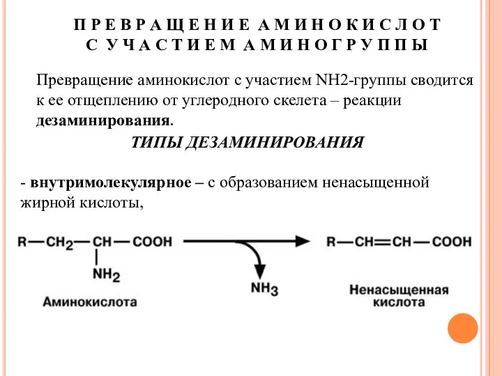 П Р Е В Р А Щ Е Н И Е