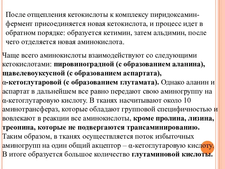 После отщепления кетокислоты к комплексу пиридоксамин-фермент присоединяется новая кетокислота, и процесс