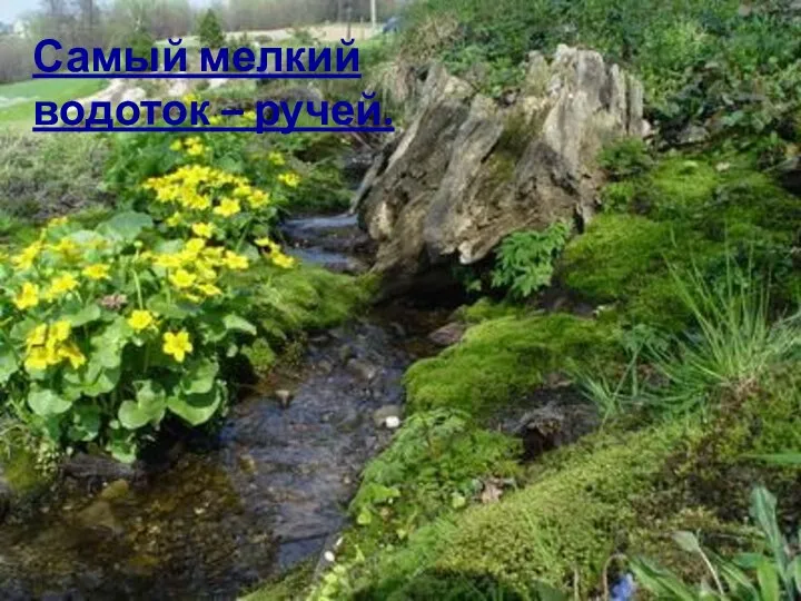 Самый мелкий водоток – ручей.