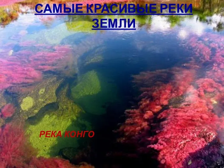 САМЫЕ КРАСИВЫЕ РЕКИ ЗЕМЛИ РЕКА КОНГО