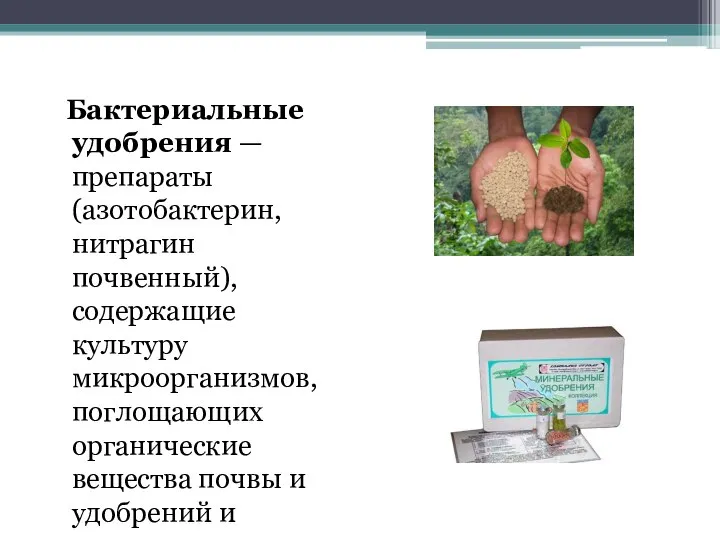 Бактериальные удобрения — препараты (азотобактерин, нитрагин почвенный), содержащие культуру микроорганизмов, поглощающих