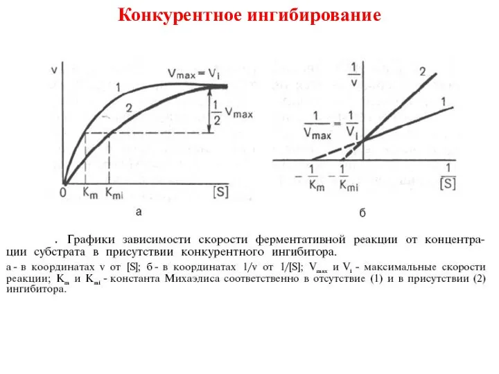 Конкурентное ингибирование