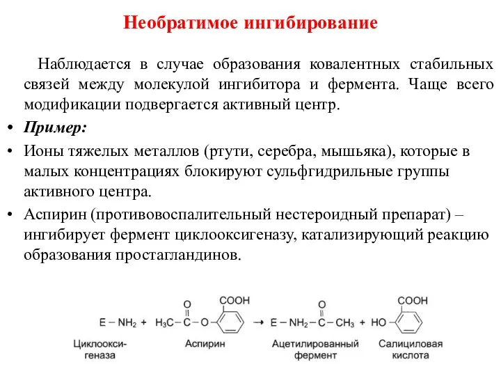 Необратимое ингибирование Наблюдается в случае образования ковалентных стабильных связей между молекулой