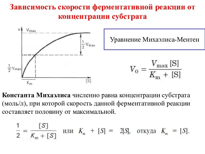 Зависимость скорости ферментативной реакции от концентрации субстрата Уравнение Михаэлиса-Ментен Константа Михаэлиса