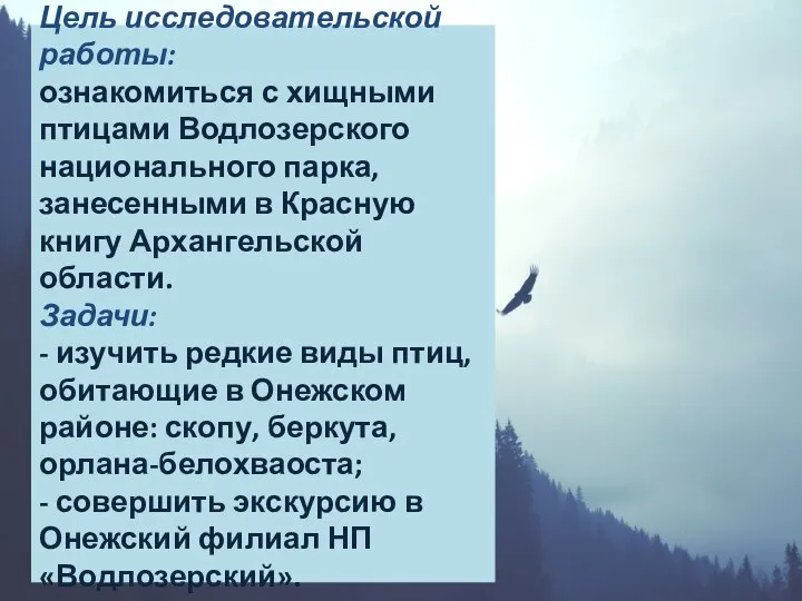 Цель исследовательской работы: ознакомиться с хищными птицами Водлозерского национального парка, занесенными